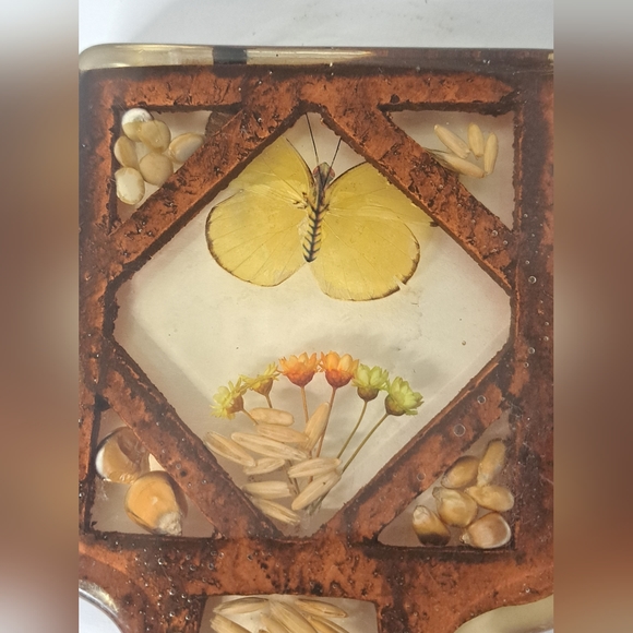 70s Lucite Butterfly & Grains Spoon Vintage Kitchen Decor Earthy - Picture 5 of 5